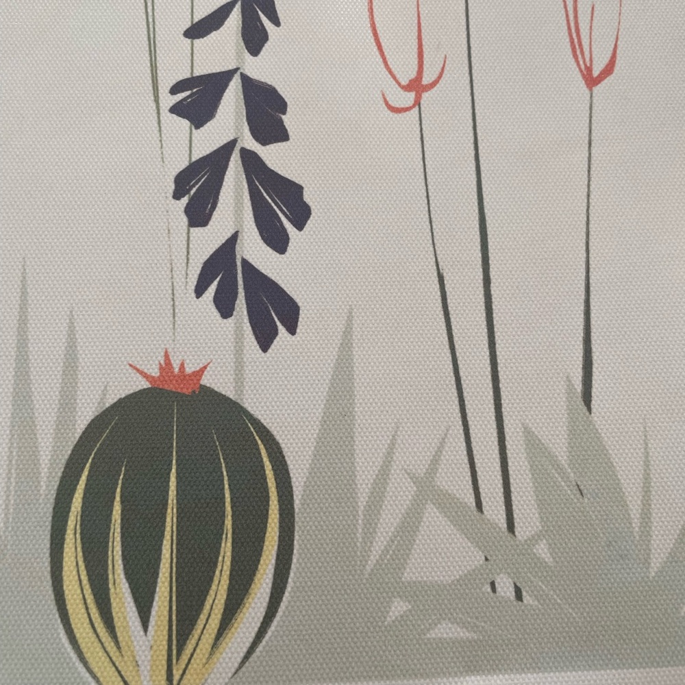 Little Cactus Canvas Wall Decor - Picture 2 of 6